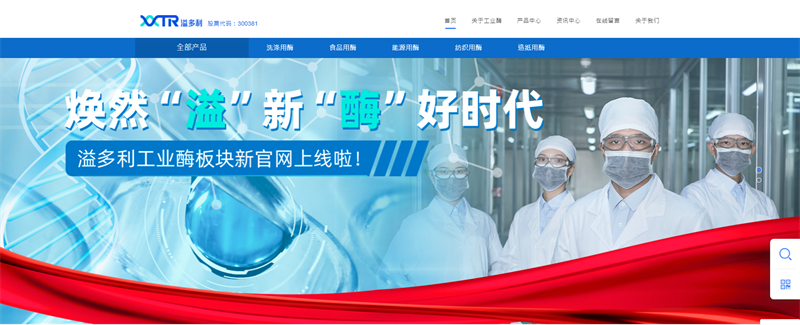 1网站页面截图.png